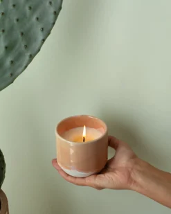 Sale Motel a Miio Coimbra - Scented Candle “Mediterranean Breeze” apricot