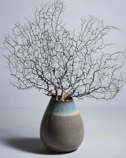 Clearance Motel a Miio Madeira - Vase grünblau